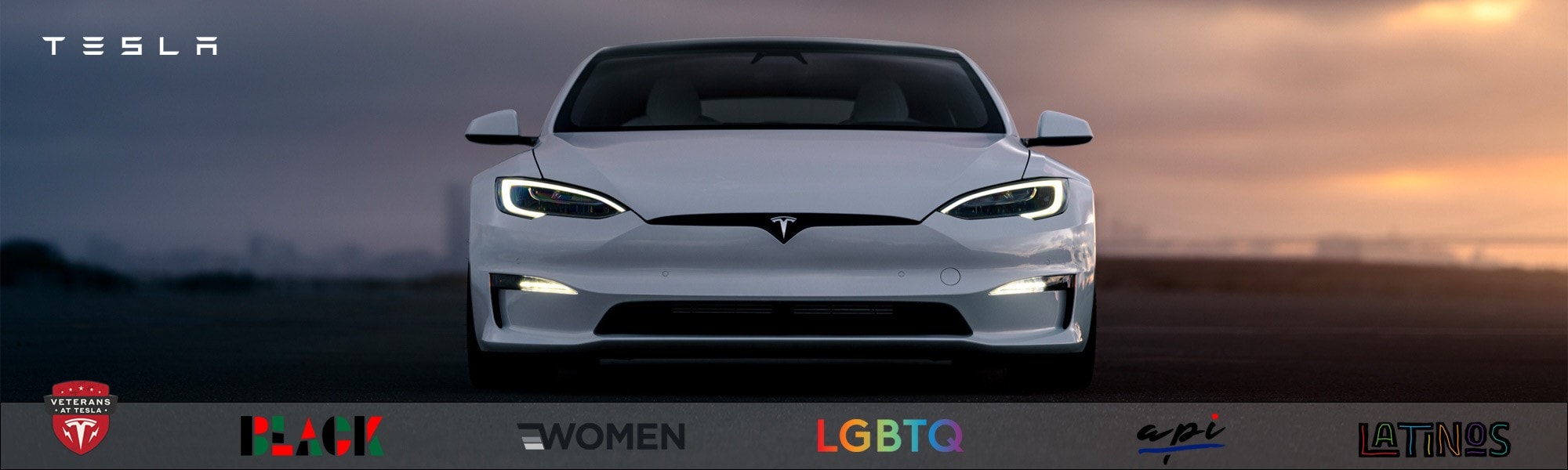 Tesla ERG Banner with a white Tesla Model S